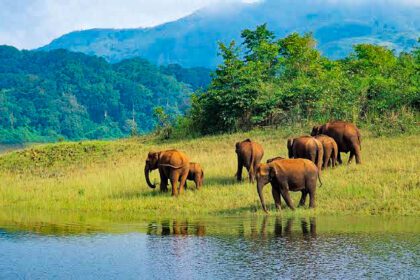 wildlife sanctuaries