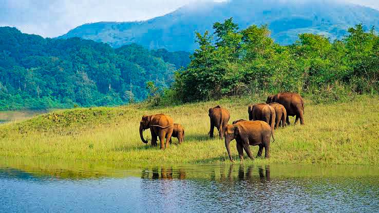 wildlife sanctuaries